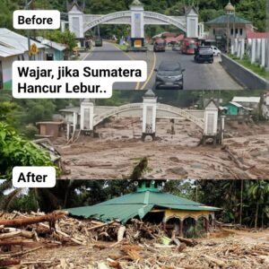 Wajar Kalau Sumatera Hancur-Lebur, Lihat Data Ini..!