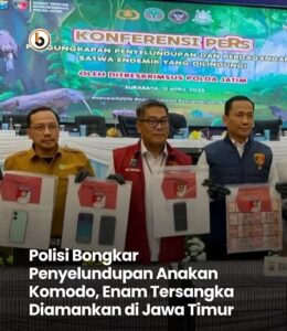 Jual Beli Komodo Rp.41 Juta ke Jateng Diringkus Reserse Polda Jatim