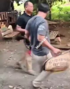 Polres Kudus Gerebek Sabung Ayam di Bae